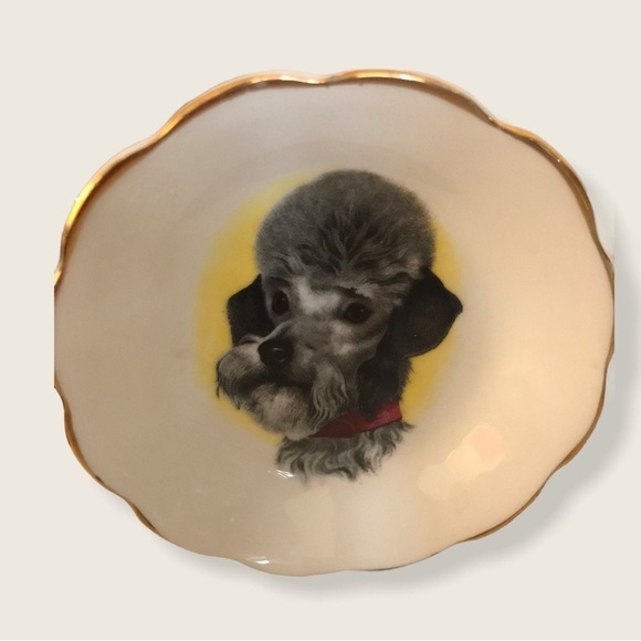 ROYAL GRAFTON | Vintage Rare Fine Bone China Small Plate With Poodle ๐ฉ Picture - Picture 1 of 5